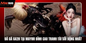 đá gà GA28